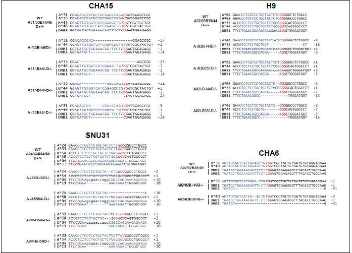 14종의 유사동형접합 배아줄기세포주의 indel mutation