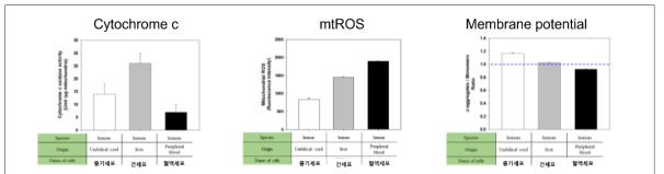 세포 기원에 따른 미토콘드리아 특성 비교