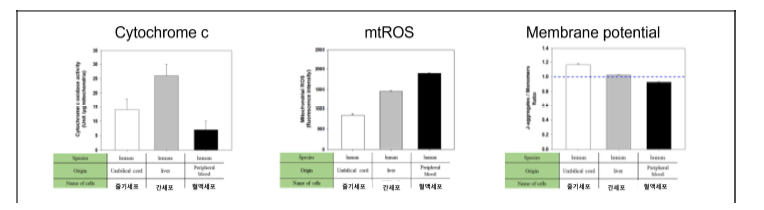 세포 기원에 따른 미토콘드리아 특성 비교.