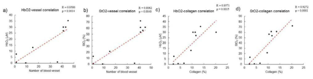 분류된 조직 절편의 조직학적 지표와 SFDI 지표 사이의 연관성 그래프. a)는 HbO2와 조직 내 혈관 수, b)는 StO2와 조직 내 혈관 개수, c)는 HbO2와 collagen 비율, d)는 StO2와 collagen 비율 사이의 연관성