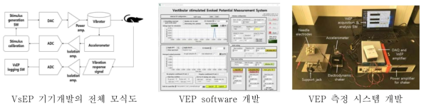 VEP 측정기구 개발