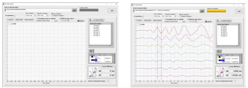 제작한 VsEP viewer 프로그램과 VsEP viewer를 이용하여 불러온 VsEP 신호의 amplitude를 확인하는 모습