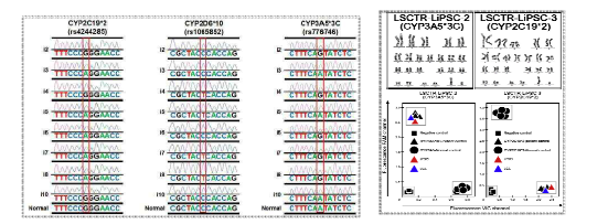 유도만능줄기세포주의 DNA sequence 확인 및 핵형/genotying 분석을 통한 검증