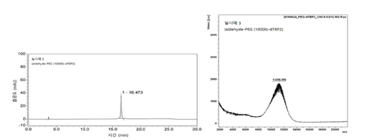 PEG(10K)-dTBP2의 HPLC 및 질량 스펙트럼 결과.