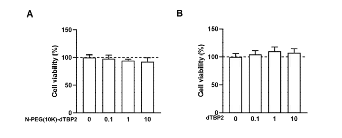 후보물질인 N-PEG(10K)-dTBP2의 세포독성 실험 결과.