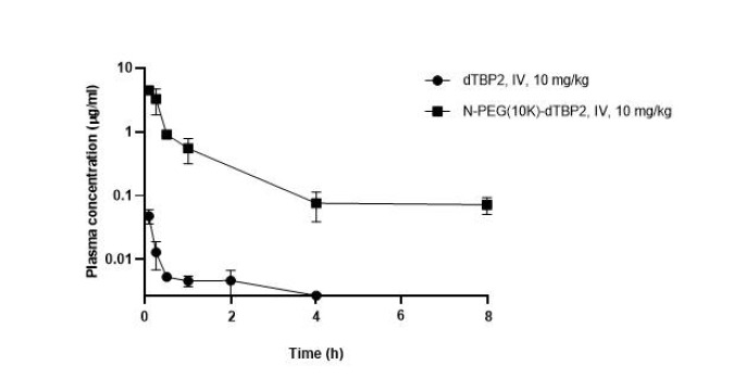 dTBP2 펩타이드와 N-PEG(10K)-dTBP2 투여 후 시간에 따른 농도 변화.