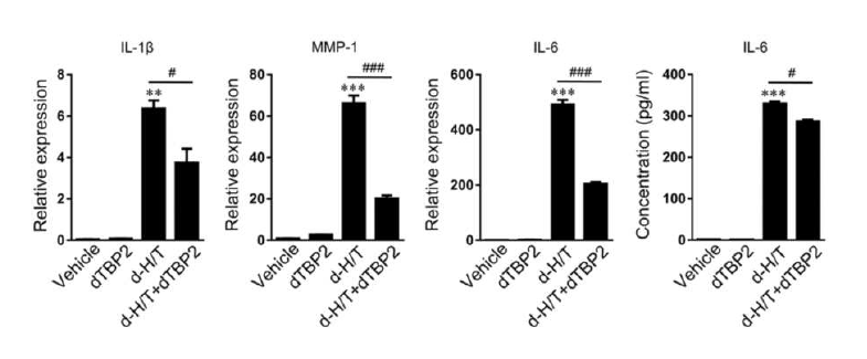 dTBP2에 의한 RA-FLS 세포의 염증성 사이토카인 생성 억제