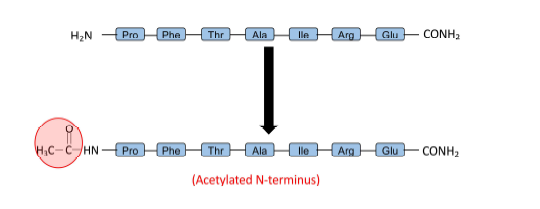 PFTAIRE peptide의 acetylation