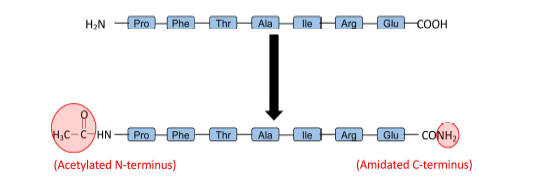 PFTAIRE peptide의 amidation과 acetylation