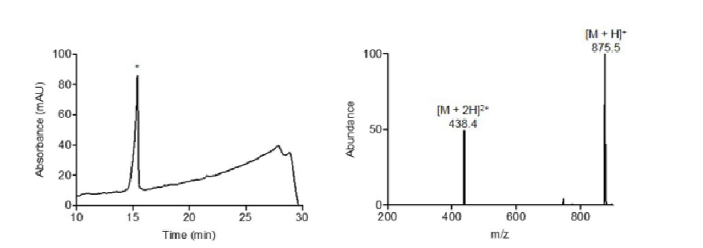 신규 유도체 Cyclo MIC-1의 합성/정제 (좌) HPLC (우) 질량분석기