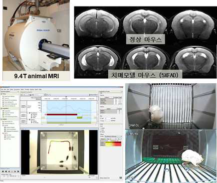 전임상센터의 첨단 9.4T MRI와 치매 마우스 행동 검사 시설
