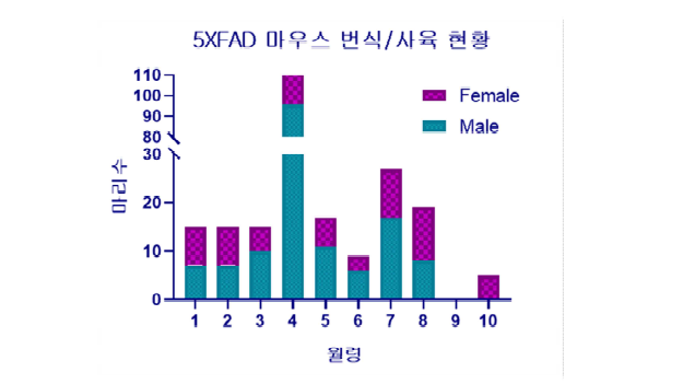 5xFAD 마우스의 사육 현황. 월령별로 암/수 마리수를 표시함