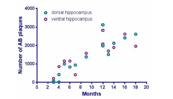 5XFAD 마우스의 월령별 dorsal & ventral hippocampus 영역의 베타 아밀로이드 정량화