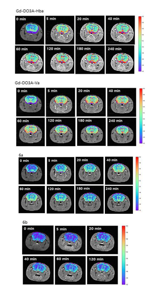 5XFAD 마우스에 투여한 6종의 아밀로이드베타 표적 조영제별 시간에 따른 MRI T1 강조영상