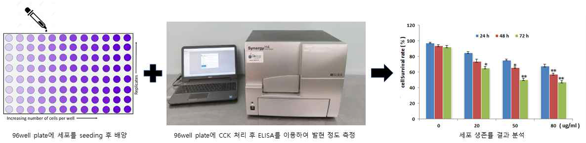 신경세포를 이용한 세포 독성 테스트