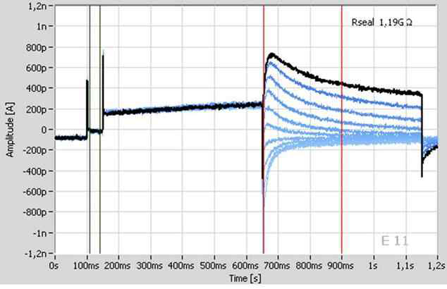 hERG current. -40mV holding potential 값에서 (green lines)