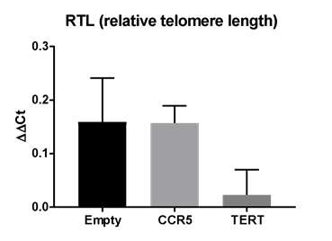 Telomere length assay