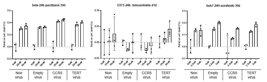 항암제와 viral sup 처리 후 세포 생존율 hela cell (paclitaxel), U373 cell (temozolomide), huh7 cell (sorafenib)