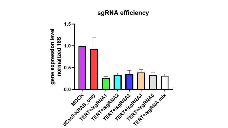 sgRNA에 따른 gene KD 효율