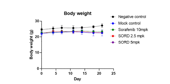 간암동소이식 모델에서 SORD 재조합단백질 처리 시 체중변화