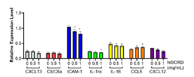 재조합단백질 주입 마우스 조직에서의 cytokine array 수행 결과