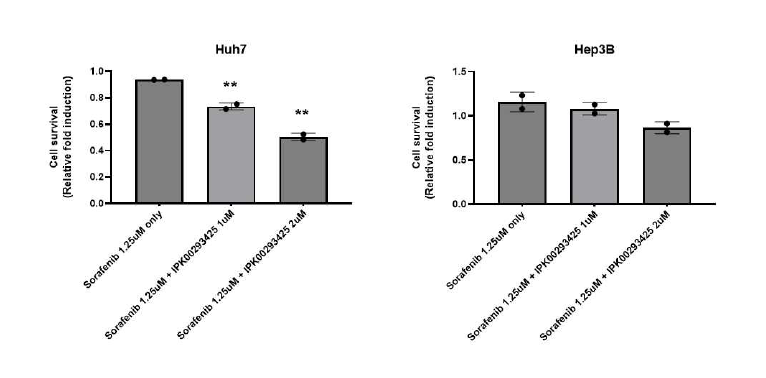 간암 세포 내 Sorafenib과 유효약물의 병용처리를 통한 효능 검증