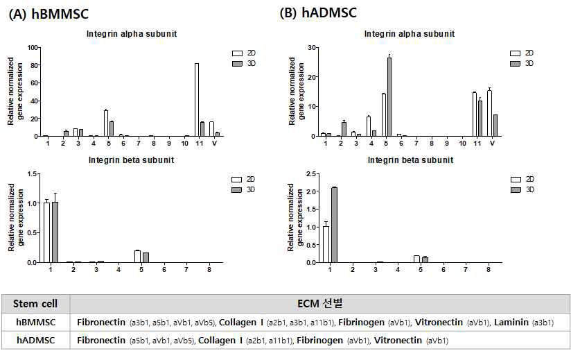 하이드로젤 내 hBMMSC 및 hADMSC에 대한 integrin subunit 비교 평가