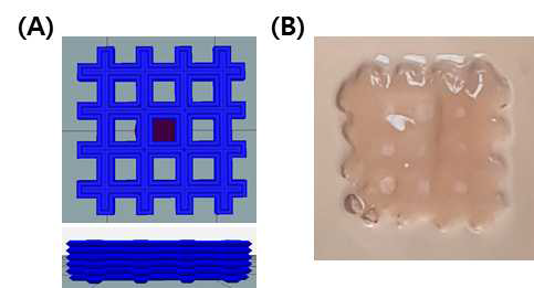바이오잉크용 고분자 하이드로젤의 프린팅