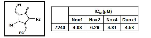 Nox 저해제 Ewha-7240과 그의 IC50 값