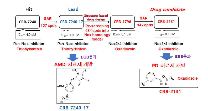 Nox저해제 개발 현황 및 drug candidate 화합물인 CRB-2131 선정