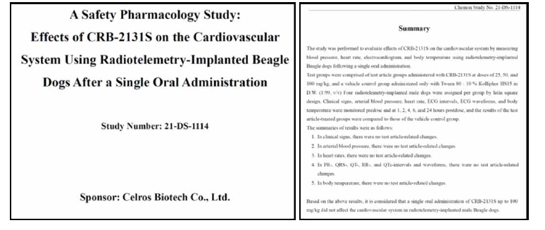 CRB-2131의 단회 투여 시 respiratory system 독성 결과