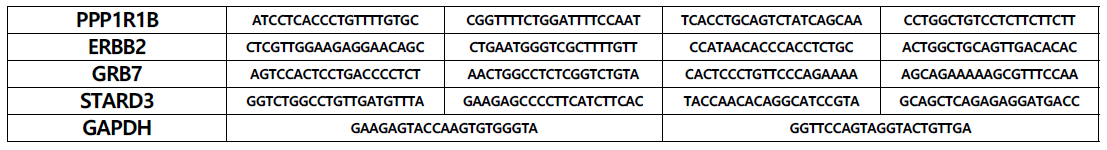 유방암 HER2 단백질 과발현 관련 인자 4종 및 대조군에 대한 표적 서열