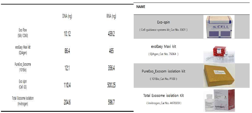 Exosome isolation kit 비교
