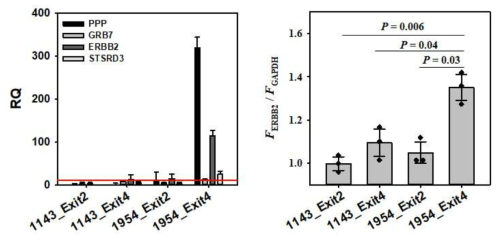 초자성 미세유체칩에서 분리한 엑소좀의 qRT-PCR 결과(왼쪽)와 exoNA 검출 시스템에서의 형광 신호 분석