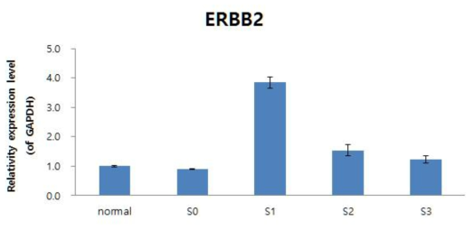 병기별 ERBB2 발현량 비교