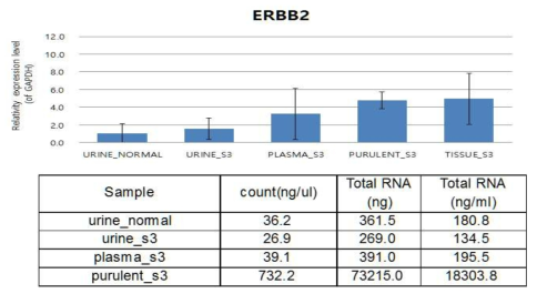 Mouse model의 urine, plasma, purulent, tissue 추출 RNA의 ERBB2 발현양 비교