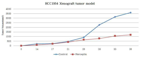 HCC1954 Xenograft tumor model