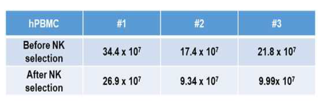 NK 세포 분리 후 세포 수 변화 확인