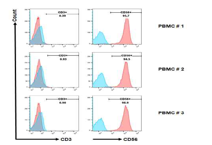 NK 세포 순수 분리 후 유세포 분석 결과