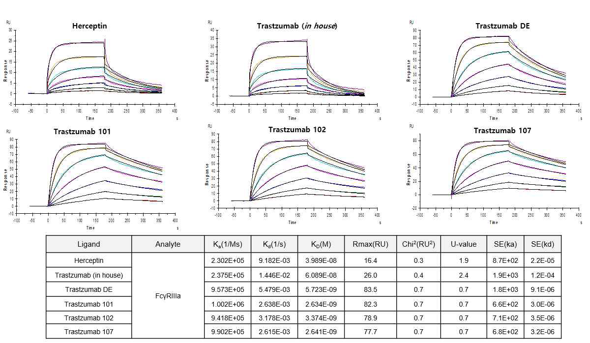 Trastuzumab Fc 후(1보58V변)이체들의 FcγRIIIa 와의 결합력 향상 확인