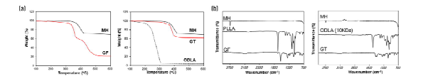 표면처리 방법에 따른 (A) TGA 및 (B) FTIR 비교 분석