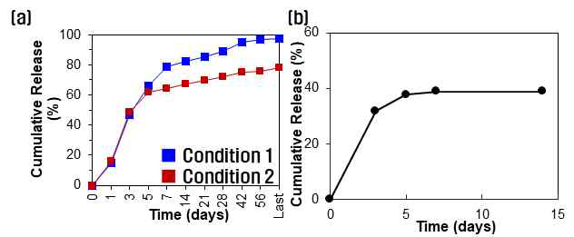 코팅조건에 따른 (A) SRL 및 (B) CAPE 약물방출 거동