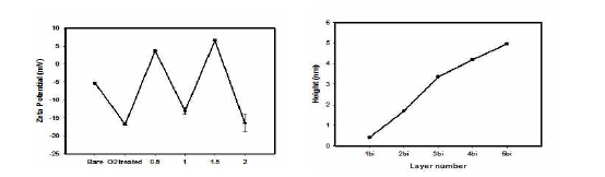 Layer에따른 zeta potential의변화(왼쪽), layer에따른두께변화(오른쪽)