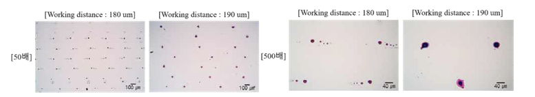 Rhodamine B 모델 약물을 이용한 프린팅 공정 조건 최적화 전(좌), 최적화 후(우)