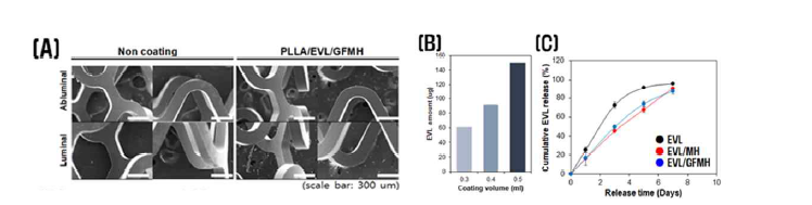 융합지지체 코팅 전/후 (A) 표면 외/내면 모습, (B) 약물함량 및 (C) 방출거동