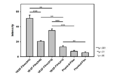 VEGF 부착확인실험: 형광강도확인