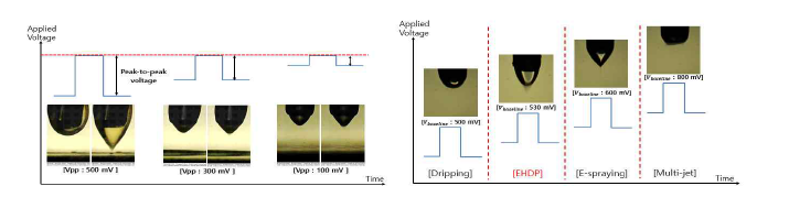 Applied voltage 공정 변수 변화에 따른 Taylor cone 변화 양상 관찰 결과 peak-to-peak voltage의 영향(좌), baseline voltage의 영향(우)