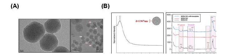 (A) 합성된 MSN과 (B) XRD 및 Raman Spectrometer 결과