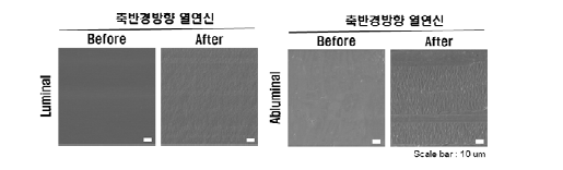 축 및 반경방향 열연신 전/후 표면변화