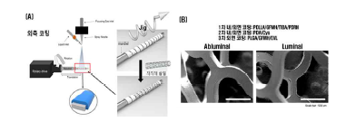 융합지지체 코팅 후 (A) 외면코팅 모식도 및 (B) 표면 외/내면 모습